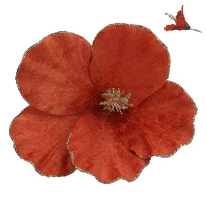 ЦВЕТЕ МАГНОЛИЯ  НА КЛИПС 