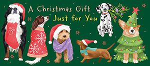 ПОЗДРАВИТЕЛНА КАРТИЧКА ЗА ПАРИ - GIFT  JUST FOR YOU / MONEY WALLET