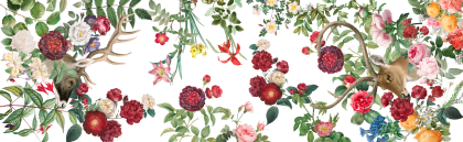 ТИШЛАЙФЕР - CERVI