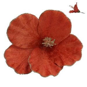 ЦВЕТЕ МАГНОЛИЯ  НА КЛИПС 