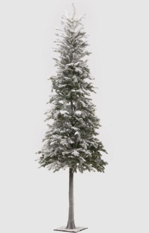 PINE SUPERNEVE W/BASE METAL.H132D43
