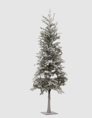 PINE SUPERNEVE W/BASE METAL.H132D43