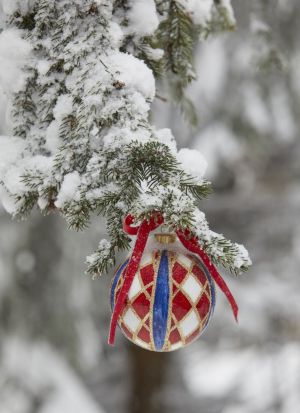 DEC.FUSED GLASS STELLAN.H10