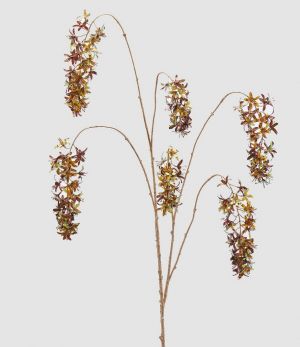 PRUNUS LUSITANICA REX REFLEX BRANCH