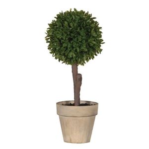 Green Miniature Boxwood Ball in Stone-look Pot