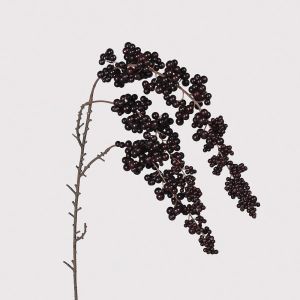 Burgundy Cotoneaster Spray