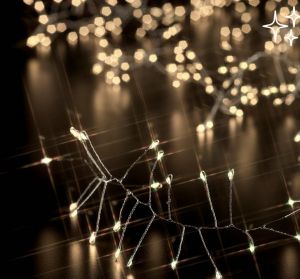 MICROLED X300 FESTOON LIGHTS (2+3MT)