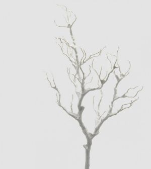 SNOWY ACACIA BRANCH H.100