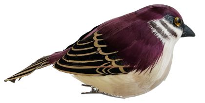 Feather sparrow brown on clip 17cm