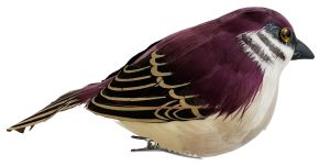 Feather sparrow brown on clip 17cm