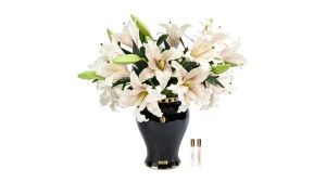 Imperial Lilies - Blush 